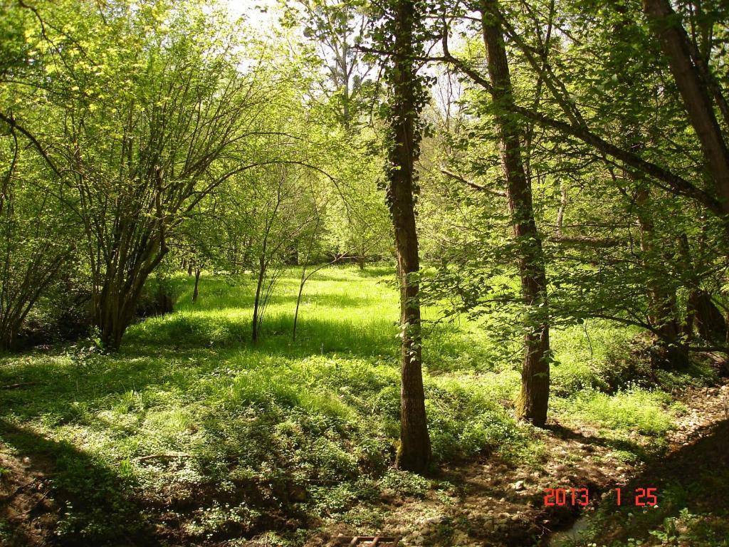 Bed and Breakfast Le Moulin De Monternault Montreuil-le-Henri Esterno foto